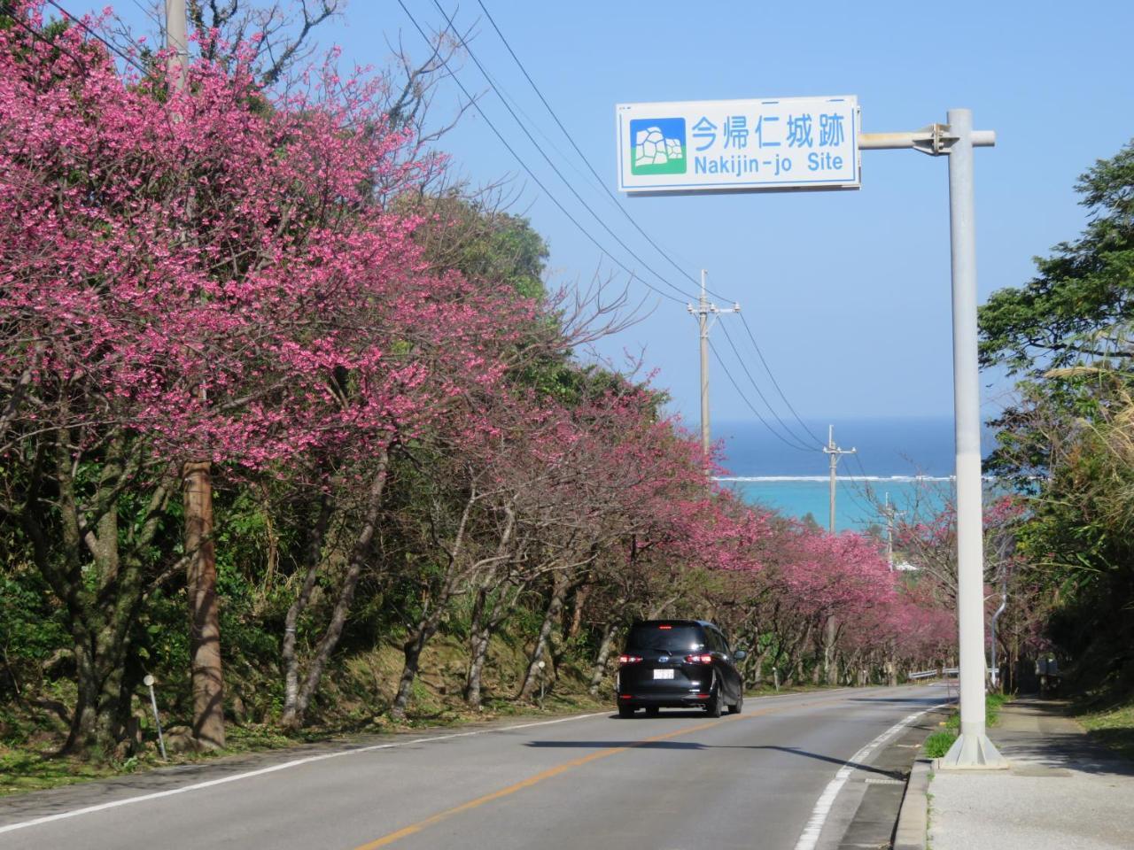 הוילה נאקיג'ין Okinawa Freedom מראה חיצוני תמונה